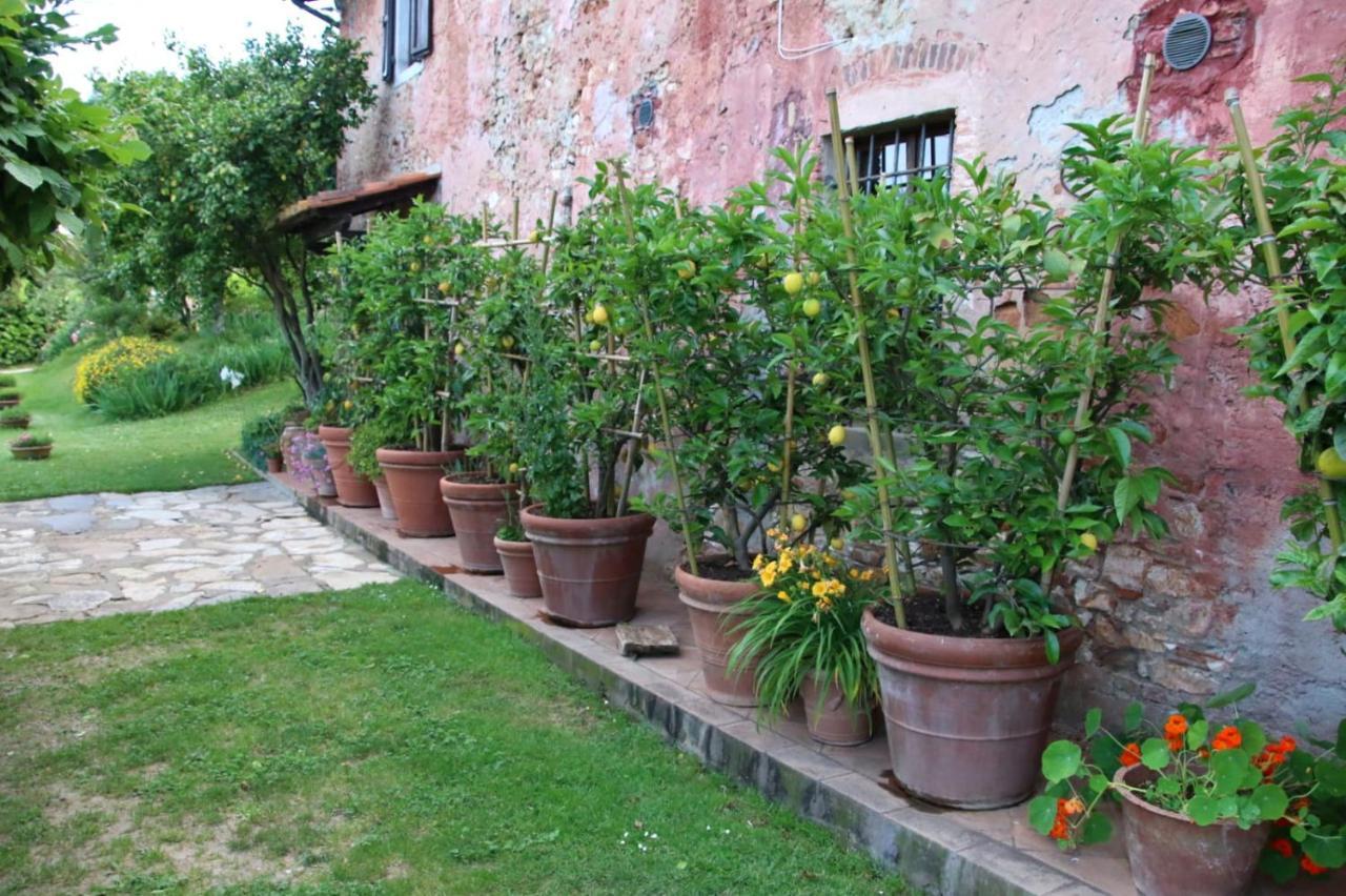 Casa Gaia Guest House Lucca Exterior photo